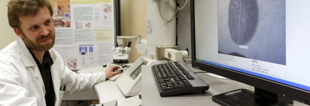 Déroulement de la thèse